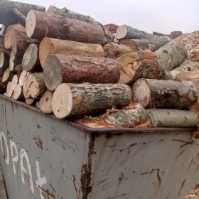 Drewno opałowe  ;  w cenie 300 zł/m3