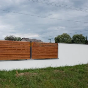 Panel Palisadowy 3D