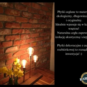 PŁYTKI DEKORACYJNE ZE STAREJ CEGŁY ROZBIÓRKOWEJ 