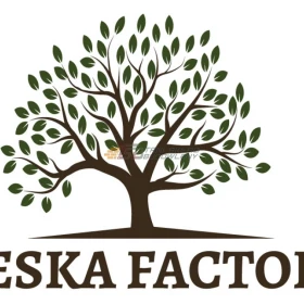 OSB 22mm pióro-wpust  62,5/250cm - CENA BRUTTO za szt.