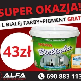 FARBA BIELINKA 10L BIAŁA
