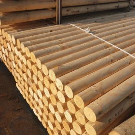 PALISADA 5/250 cm