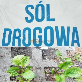 SÓL NA CHWASTY gruba - długo działa, ekologiczna na kostkę, ażury, trylinkę Lublin Wrotków ATUT-BIS