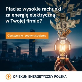 Tani Prąd dla Firm