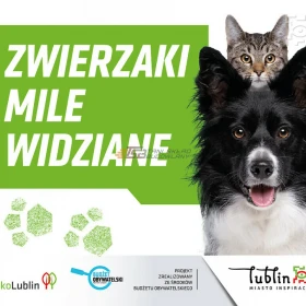 CHLOREK MAGNEZU Lublin 25kg, nie sól, drogowy -85,57 brutto- ATUT-BIS